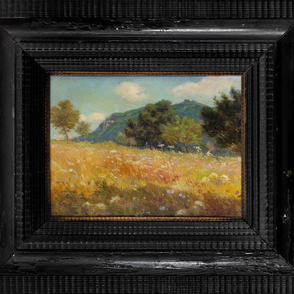 Carlo Montani - Prato Estivo