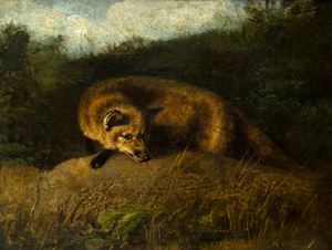 Scuola italiana, secolo XIX - The Fox