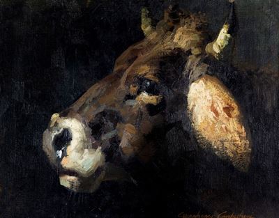 Testa di mucca, olio su tela