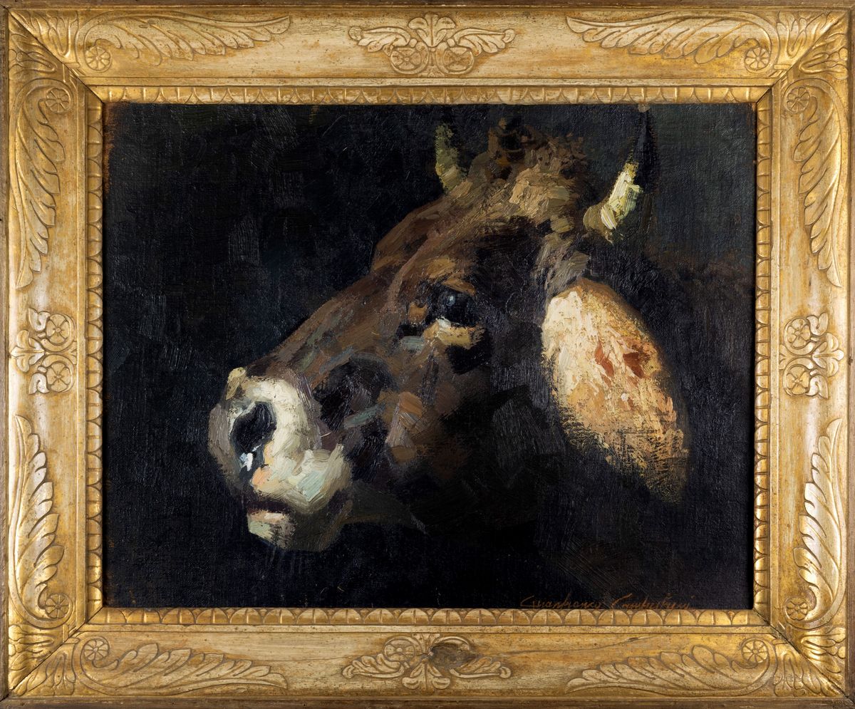 Gianfranco Campestrini - Testa di mucca, olio su tela