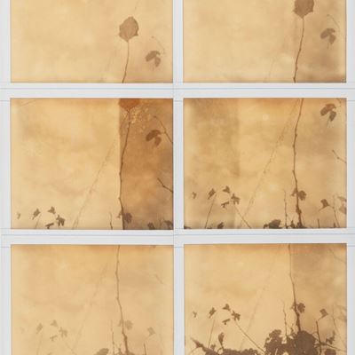 Studio Antibes - Sei polaroid montate a mosaico