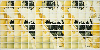 Senza titolo - 112 polaroid montate a mosaico