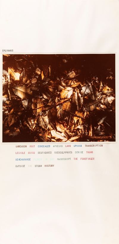 Study for The Transcode Series, stampa cromogenica vintage