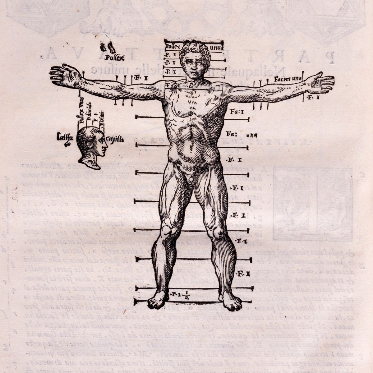 Barbaro, Daniele - Barbaro, La pratica della perspettiva. Prima edizione, 1568.