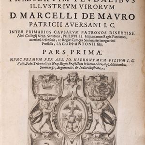 Marcello De Mauro - Allegationum in causis praesertim feudalibus