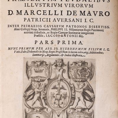 Allegationum in causis praesertim feudalibus, 1614