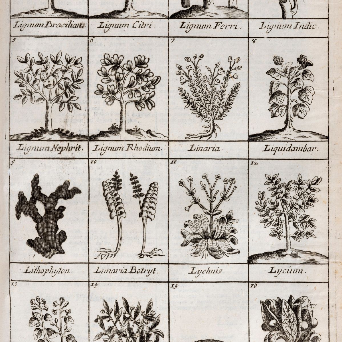 Nicolas Lemery - Dizionario ovvero Trattato Universale delle droghe semplici, 1766