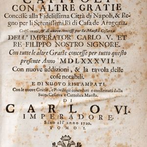 Privileges and chapters with other graces granted to the most faithful city of Naples, & kingdom through the most serene rulers of the House of Aragon: confirmed, & granted again by the Caesarean Majesty of the Emperor Charles V. and King Philip our lord: with all other graces granted throughout this present year MDLXXXVII