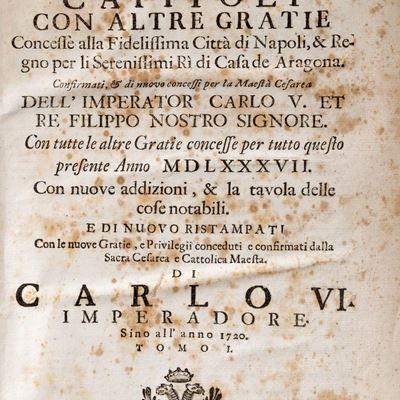 Privilegi et capitoli con altre gratie concesse alla fidelissima città di Napoli e regno per i se...