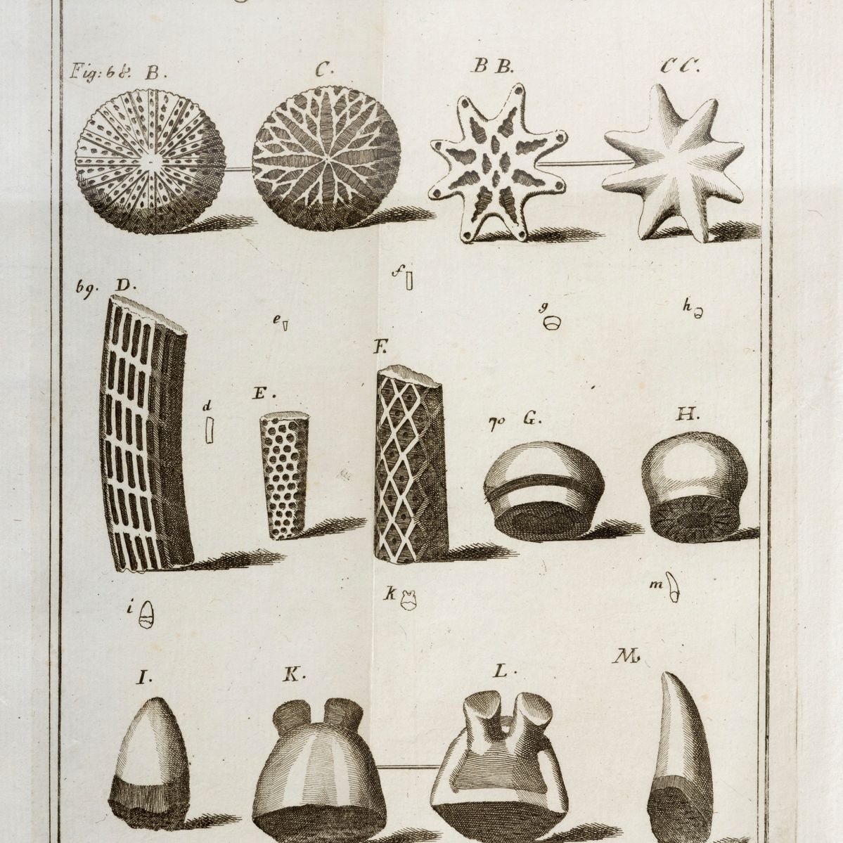 Fossili - Soldani, Ambrogio - Orthographic essay or