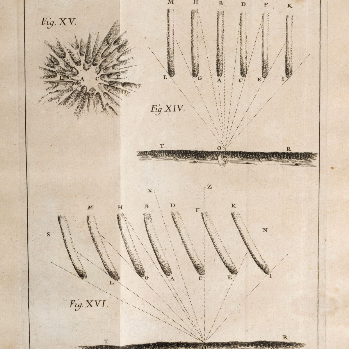 Jean-jacques Mairan - Traitè physique et historique de l'aurore boreale, 1733