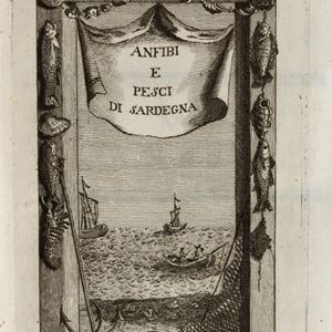 Francesco Cetti - Anfibi e pesci di Sardegna