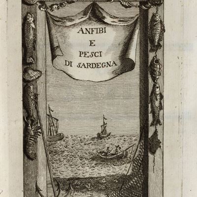 Anfibi e pesci di Sardegna, 1777