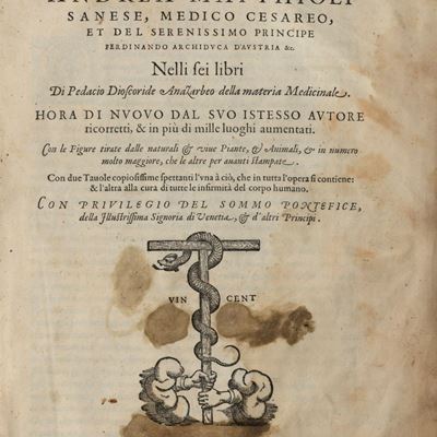 I discorsi ne i sei libri di Pedacio Dioscoride Anazarbeo Della materia medicinale