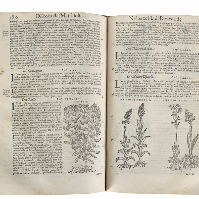 Pietro Andrea Mattioli - I discorsi ne i sei libri di Pedacio Dioscoride Anazarbeo Della materia ...
