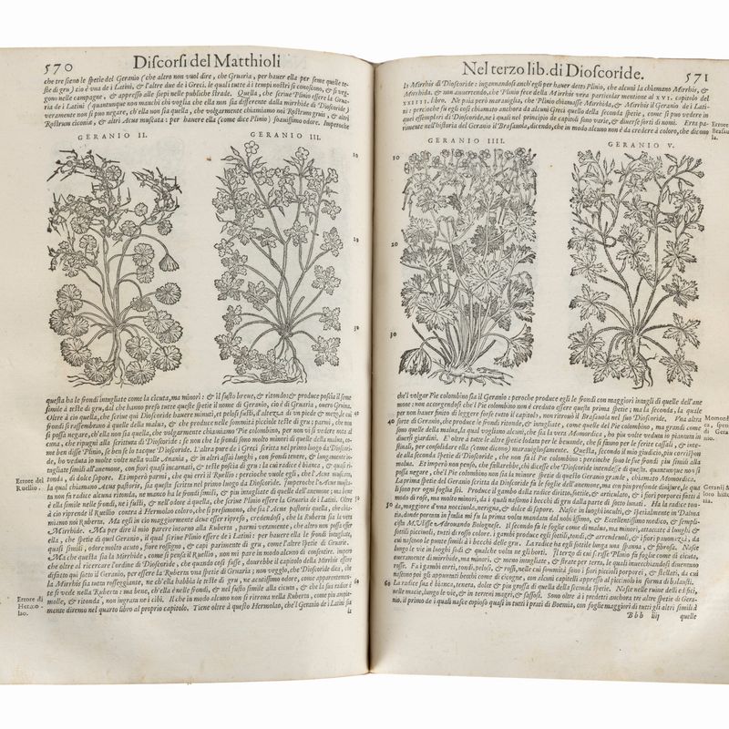 Pietro Andrea Mattioli - I discorsi ne i sei libri di Pedacio Dioscoride Anazarbeo Della materia ...