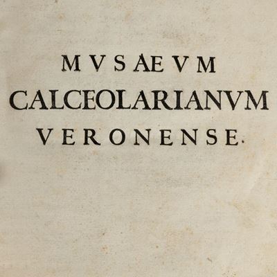 Musaeum Franc. Calceolari iun. Veronensis, 1622