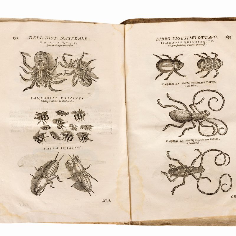 Historia naturale di Ferrante Imperato napolitano, 1672