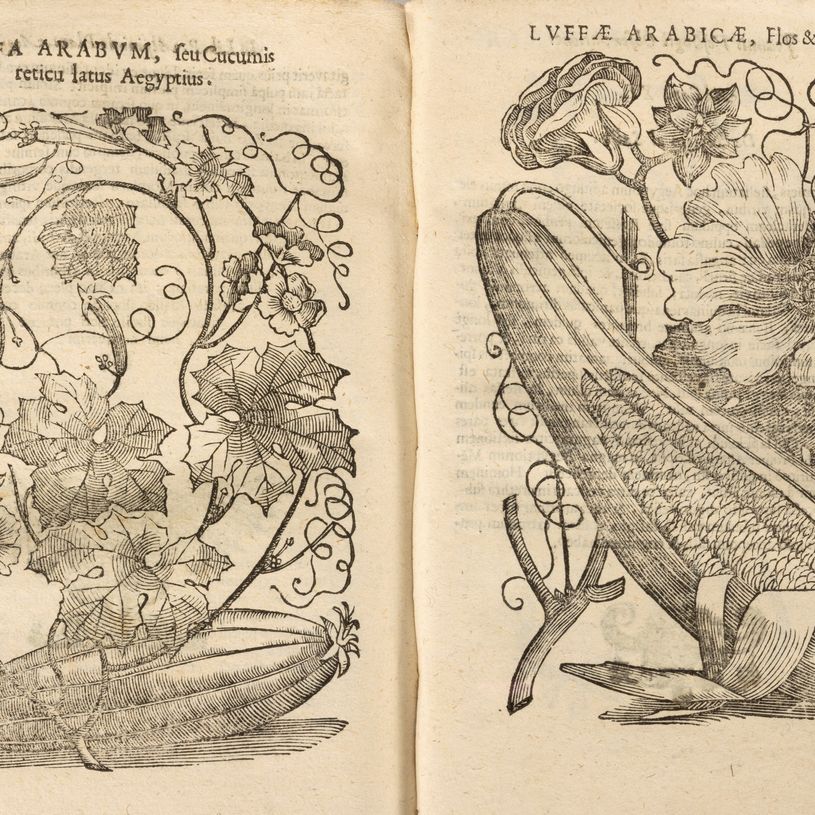 Prospero Alpini - De Plantis Aegypti liber