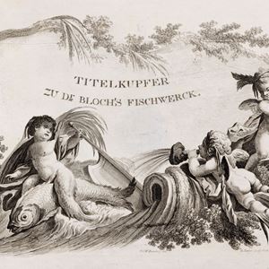 D. Marcus Elieser Bloch's Öconomische Naturgeschichte der Fische Deutschlands, (Vol.9)