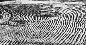 Giacomelli Mario - Presa di coscienza sulla natura