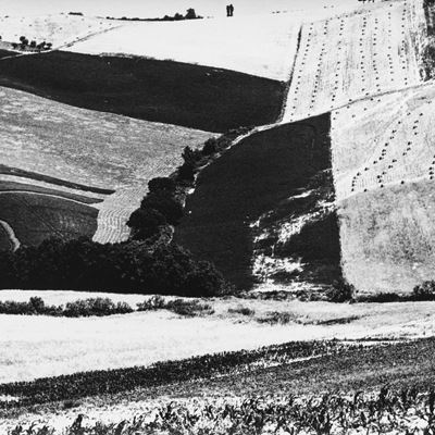 Presa di coscienza sulla natura, stampa vintage alla gelatina ai sali d'argento