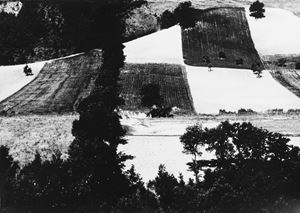 Giacomelli Mario - Presa di coscienza sulla natura