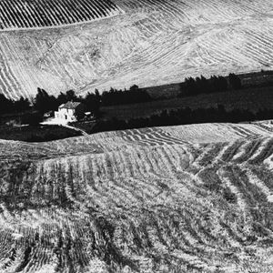 Presa di coscienza sulla natura