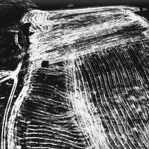 Presa di coscienza sulla natura