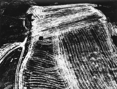 Presa di coscienza sulla natura, stampa vintage alla gelatina ai sali d'argento