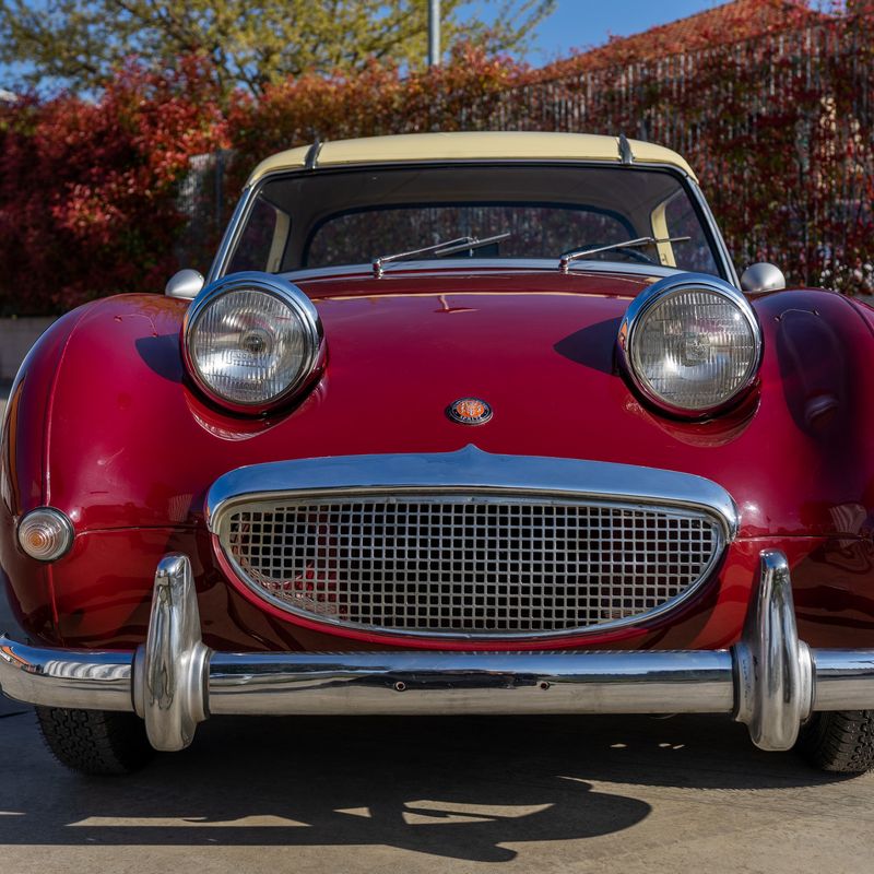 Sprite (Austin-Healey)