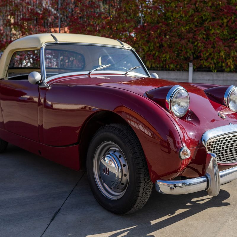 Sprite (Austin-Healey)