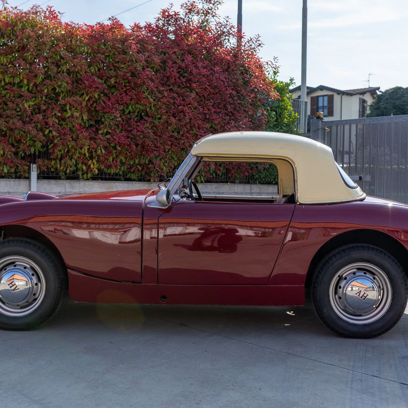 Sprite (Austin-Healey)