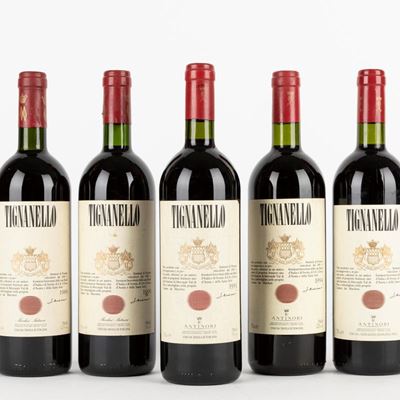 Verticale Tignanello 1989-1995 (5 Bt)