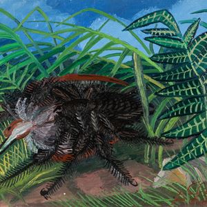 Vedova nera che assale uccello