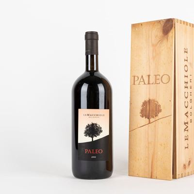 Paleo Magnum