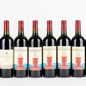 Tenuta di Trinoro Campo di Magnacosta Vertical 2013-2019 (10 BT)