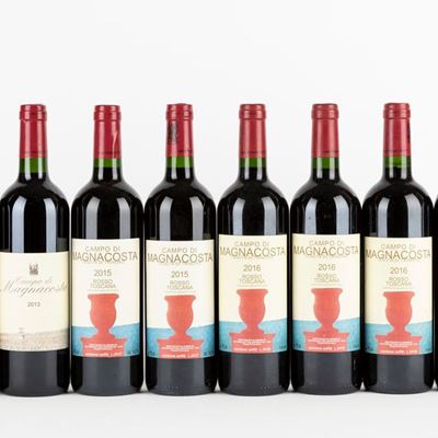 Verticale Tenuta di Trinoro Campo di Magnacosta 2013-2019 (10 Bt)