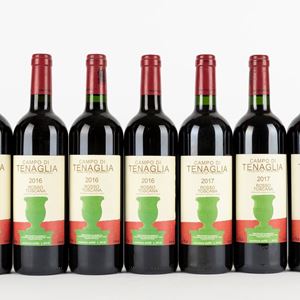 Tenuta di Trinoro Campo di Tenaglia 2016-2018 (7 BT)