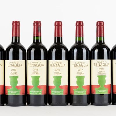Tenuta di Trinoro Campo di Tenaglia 2016-2018 (7 Bt)
