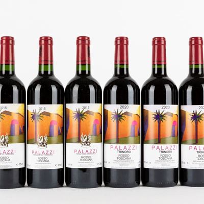 Tenuta di Trinoro Palazzi 2015-2020 (6 Bt)