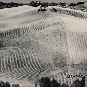 Untitled (Landscape)