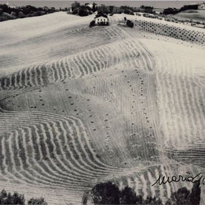 Senza titolo (Paesaggio), stampa industriale a colori da fotografia originale
