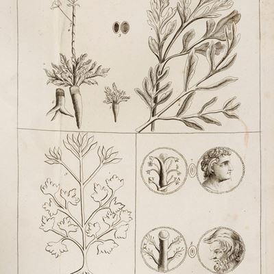 DIDEROT, Eidous e Toussain, Dictionnaire Universel de Médecine, de Chirurgie, de Chymie, de Botan...