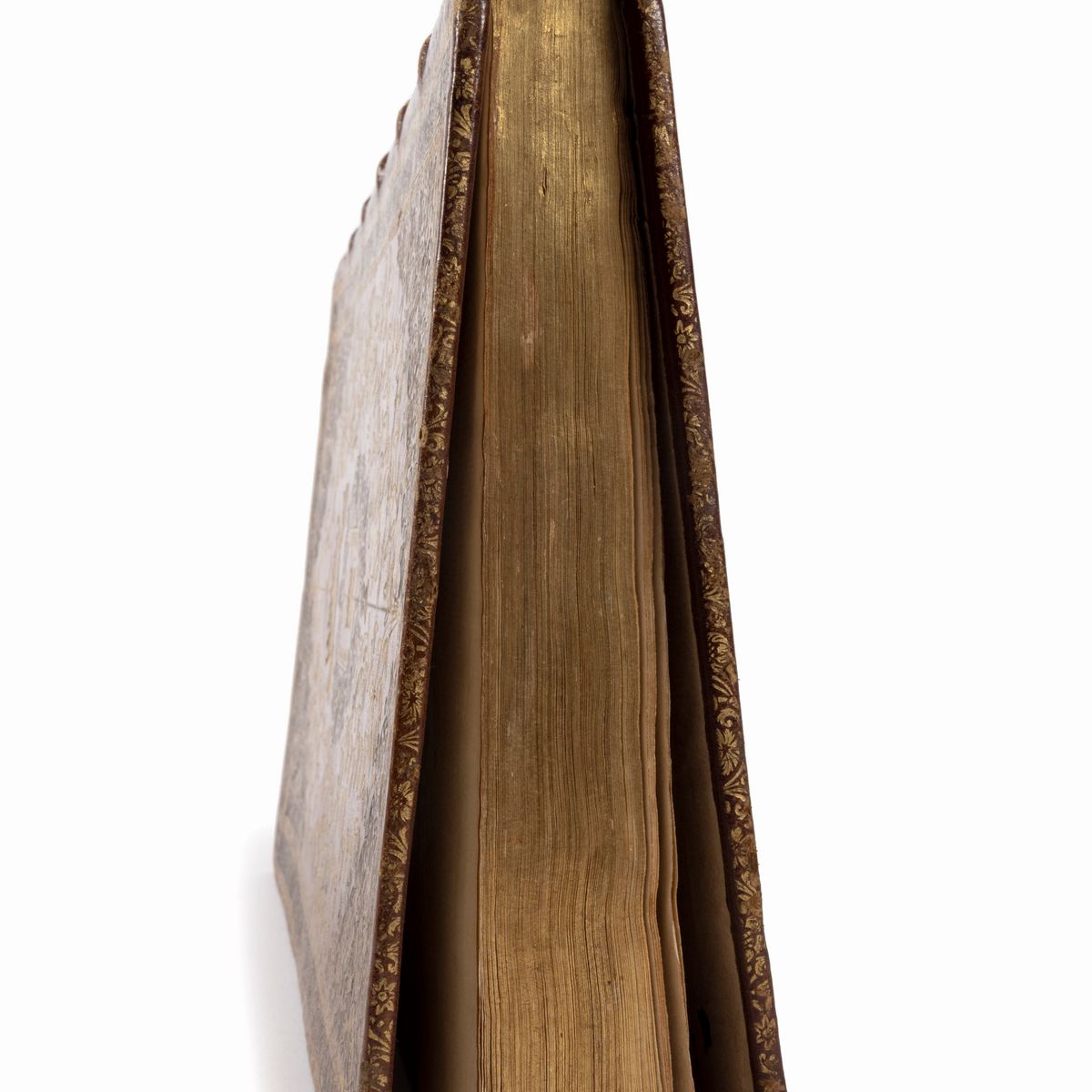 Lorenzo Magalotti - Saggi di naturali esperienze fatte nell'Accademia del Cimento, Napoli, 1714