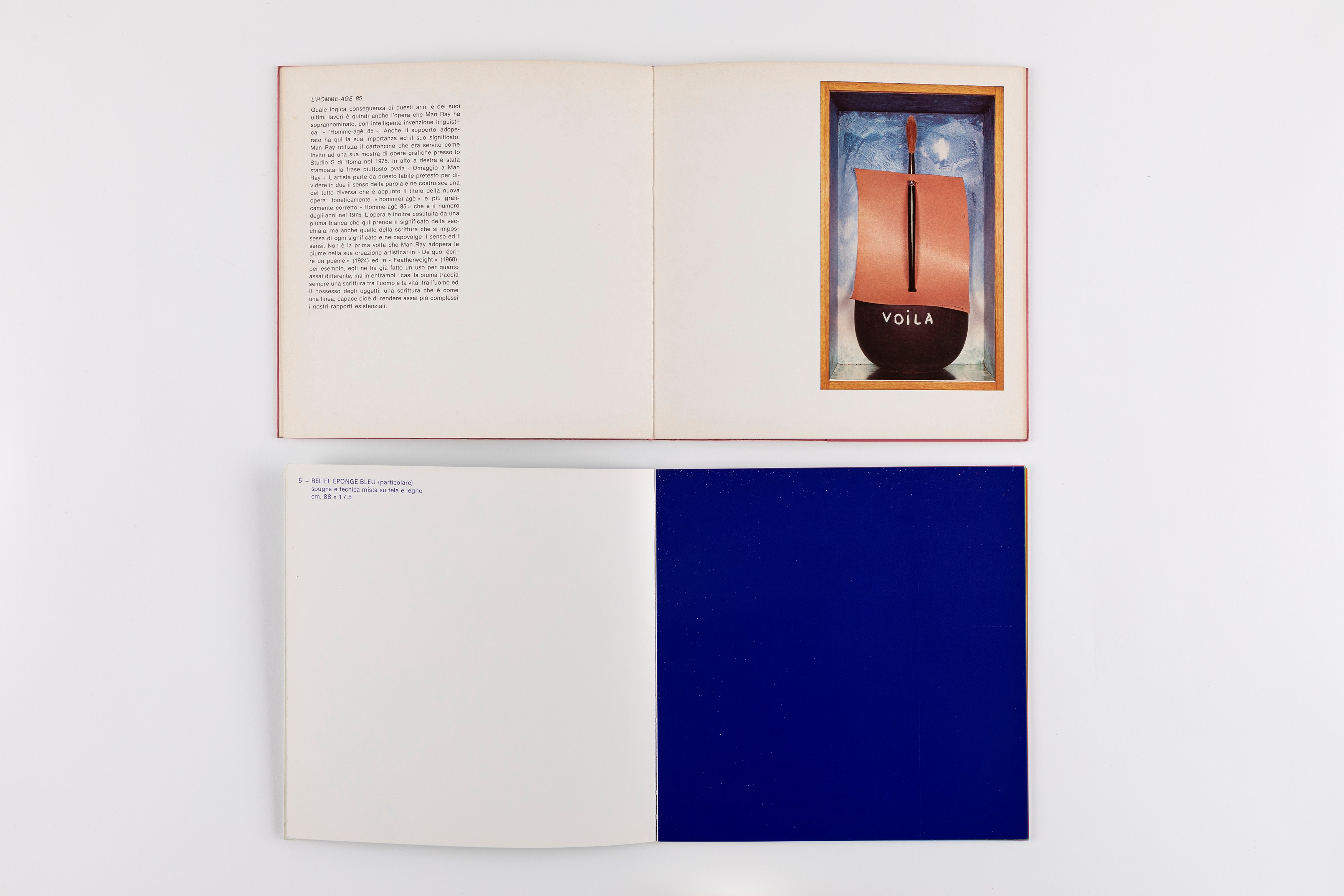 Man Ray, Unconcerned but not indifferent e Yves Klein, Catalogo della mostra