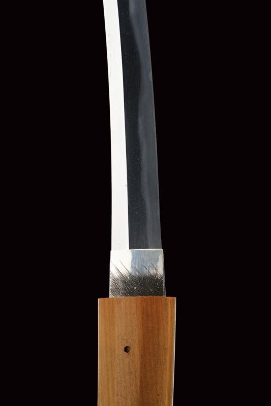 Wakizashi mei Shinano no Kami Daido, Lama shinogi zukuri, Giappone, 1650/60