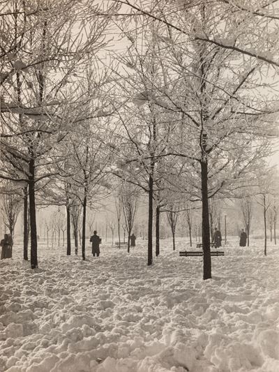 Parco Solari, Stampa vintage alla gelatina ai sali d'argento