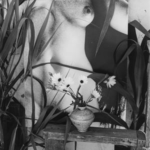 Woodman George - Still Life, Little vase, Vivienne