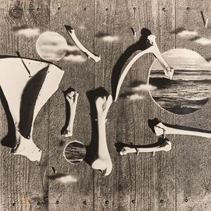 Untitled (Composition with bones)